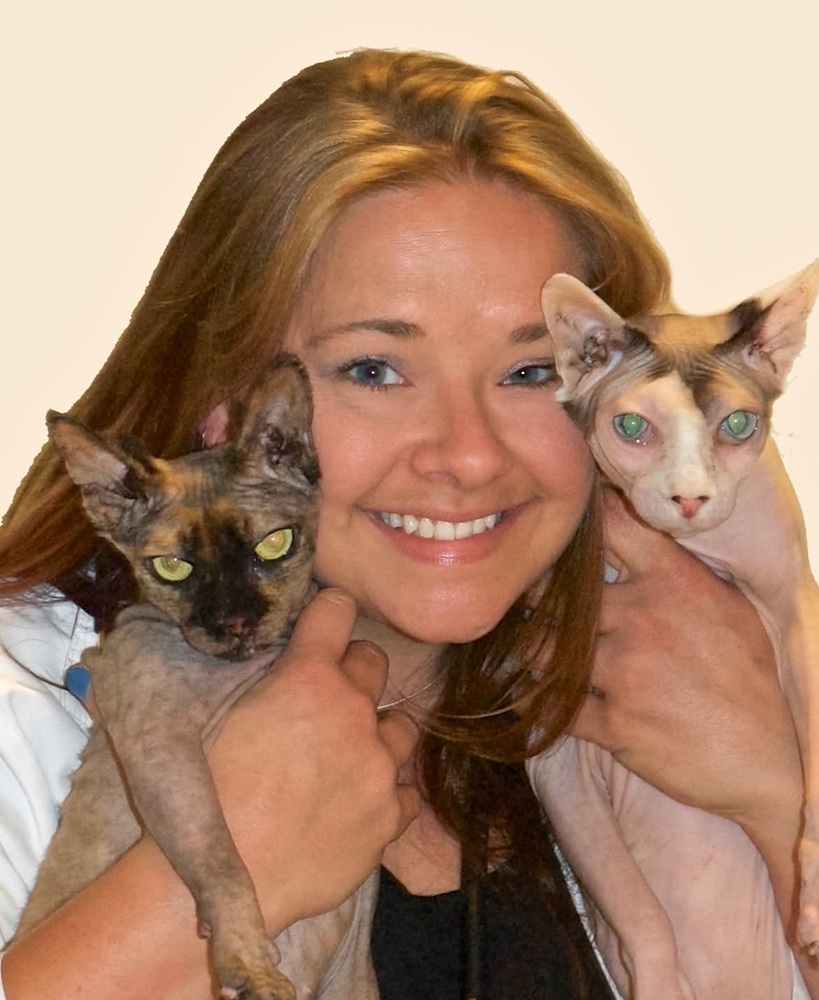 All Cats Healthcare Clinic Gainesville FL